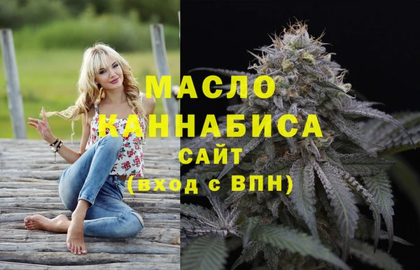 СК Алексин