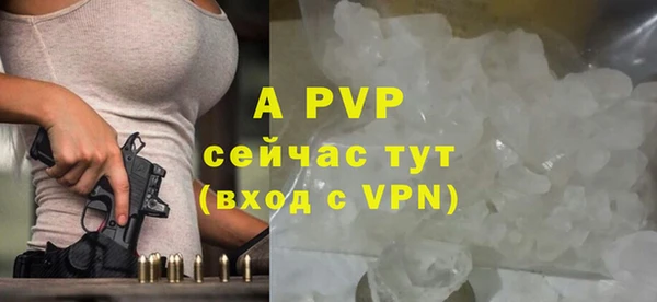СК Алексин