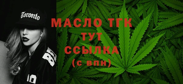 СК Алексин