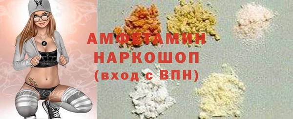 индика Алзамай
