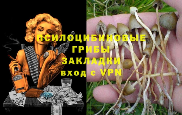спиды Алексеевка