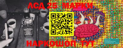 дмт Ставрополь