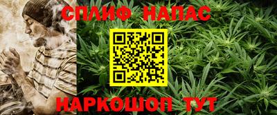 дмт Ставрополь