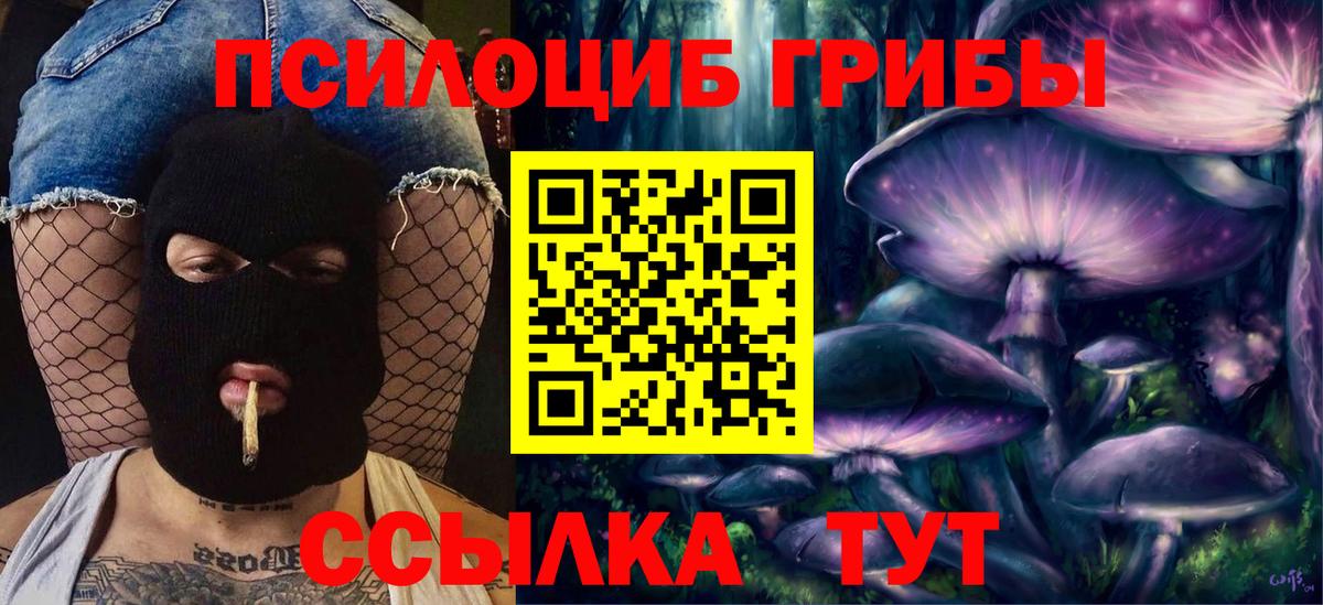 Псилоцибиновые грибы Psilocybe  Вход с VPN  Урюпинск 