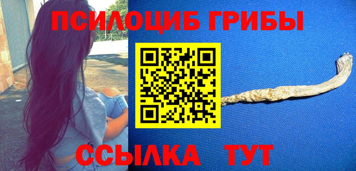 Галлюциногенные грибы GOLDEN TEACHER Урюпинск