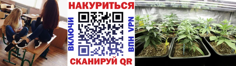 купить наркоту  blacksprut ссылка  Конопля SATIVA & INDICA  Урюпинск 
